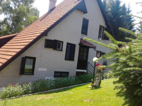 Vlasinski vrtovi